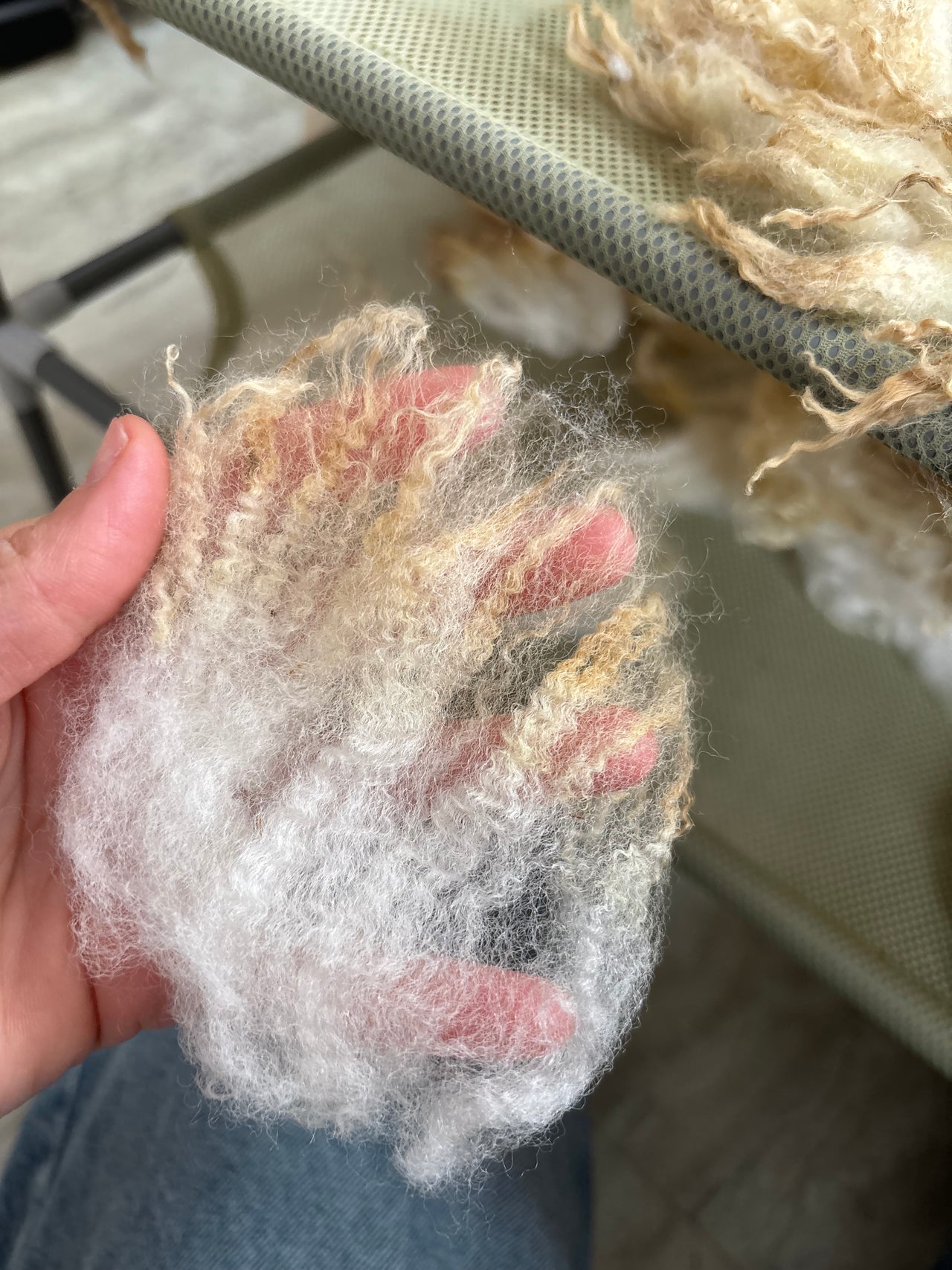 AM Wool Prep with Cecilia from Nor'easter Yarns