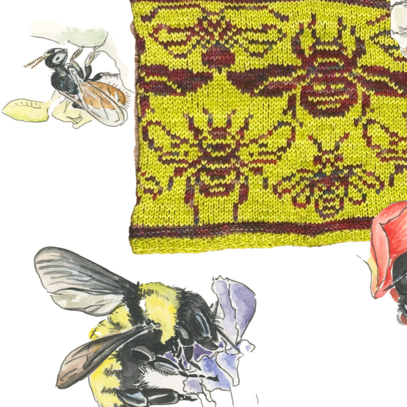 Local Critters for Local Knitters: BEES! Knitalong and Lectures