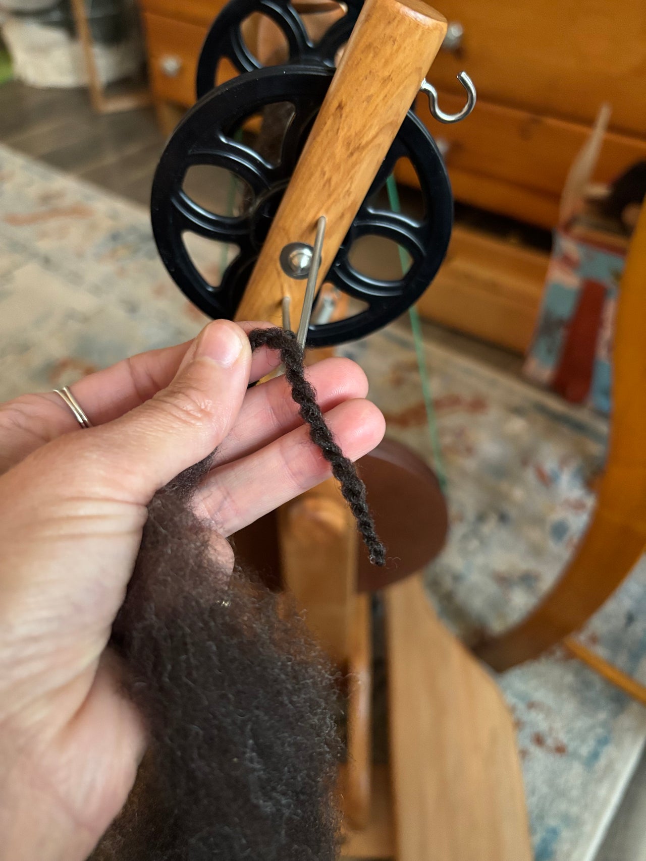 PM Spinning Tips and Tricks with Cecilia from Nor'easter Yarns