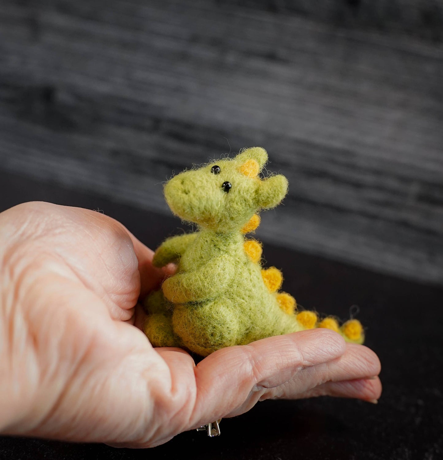 Dragon Needle Felting Kit